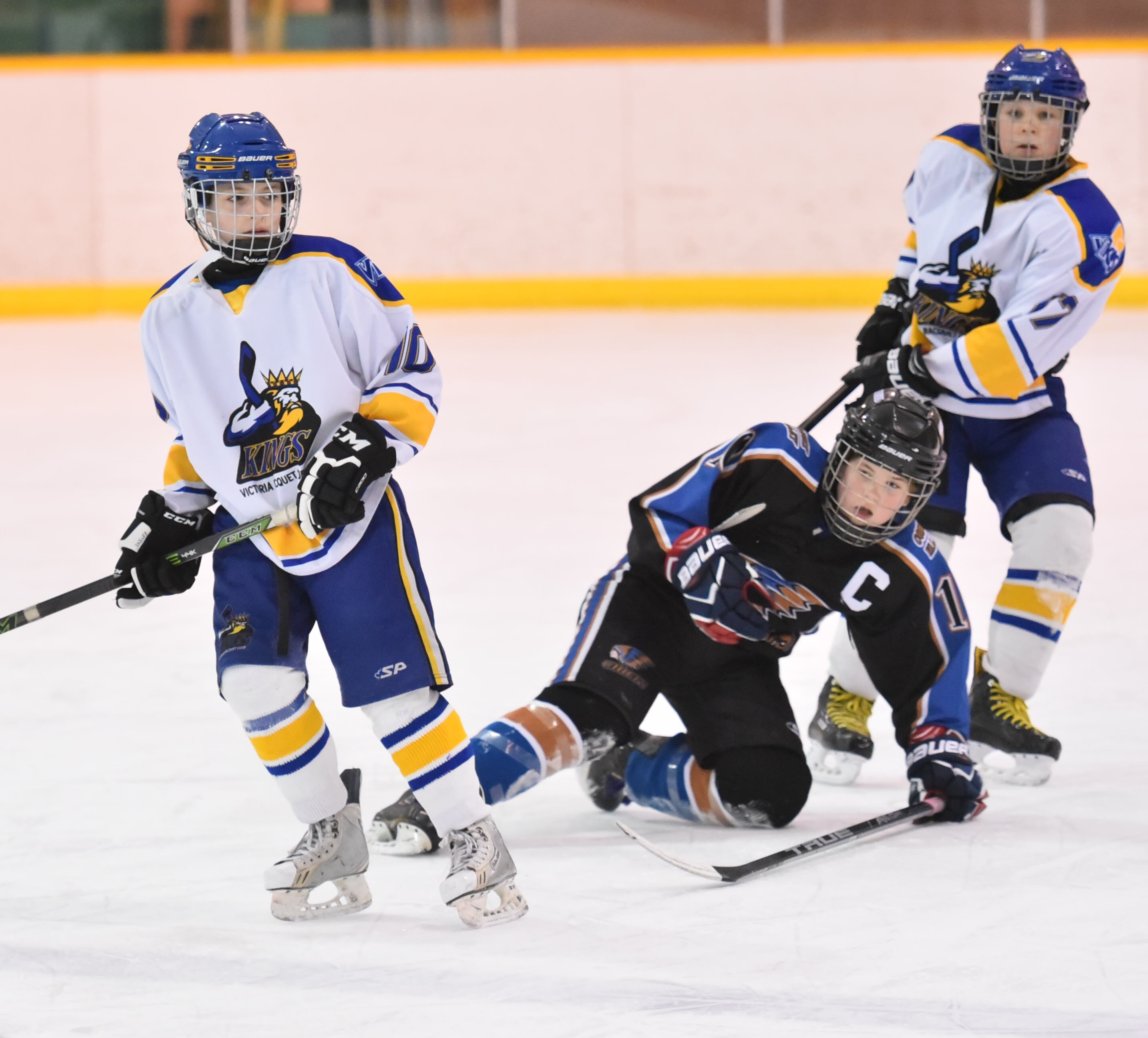 hockey players hockey players